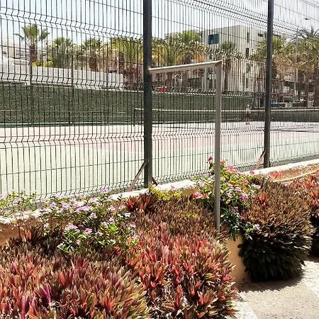 Mng-apart Playa Americas Honda *